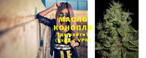 прущие грибы Аркадак