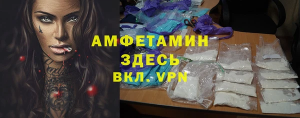 прущие грибы Аркадак