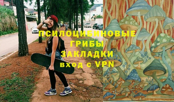прущие грибы Аркадак