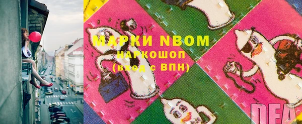прущие грибы Аркадак