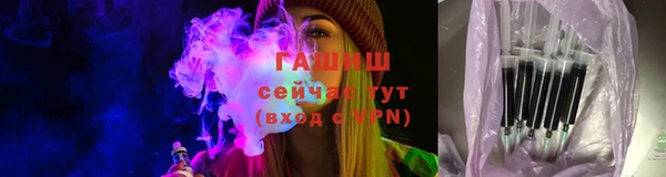 прущие грибы Аркадак