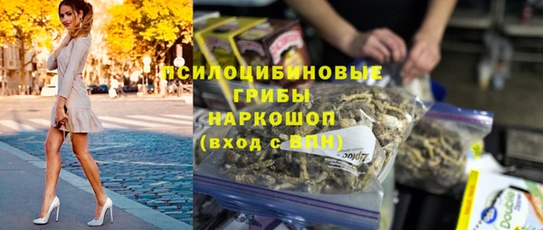 прущие грибы Аркадак