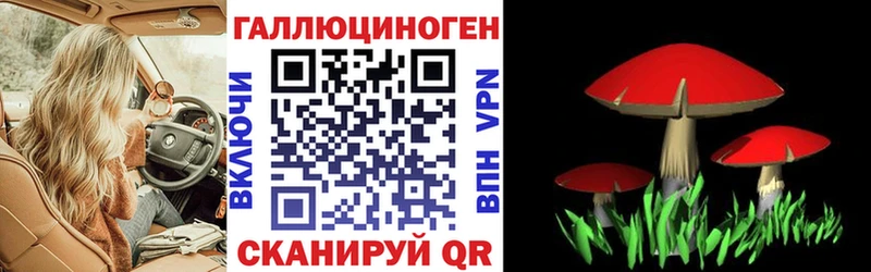 Псилоцибиновые грибы прущие грибы hydra сайт Гурьевск где можно купить
