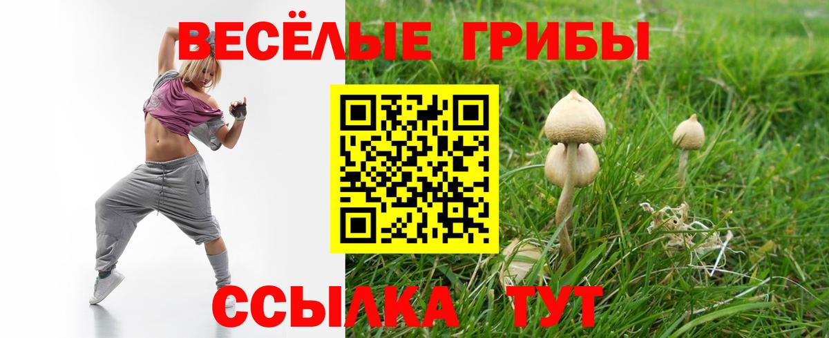 Галлюциногенные грибы Magic Shrooms Гурьевск