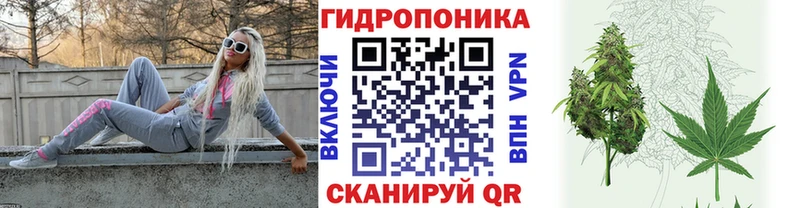 Шишки марихуана сатива Гурьевск